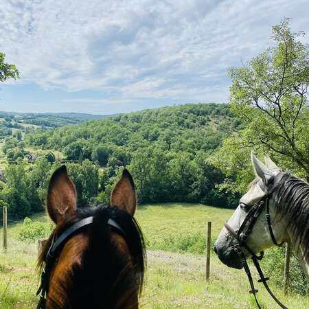 EQUI AVENTURES