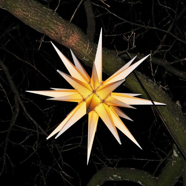 Stage de fabrication d'un Dodécaèdre étoilé au Jardin Bourian