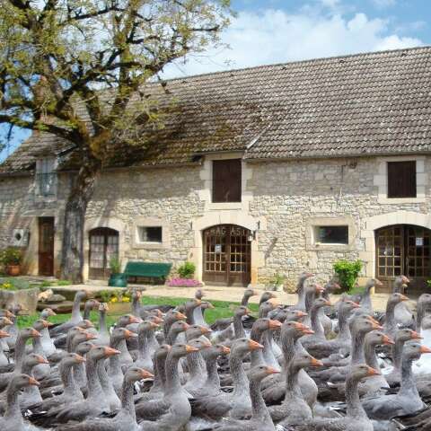 La Campagnoise