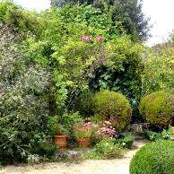 Balade contée hivernale de la MJC à Gourdon