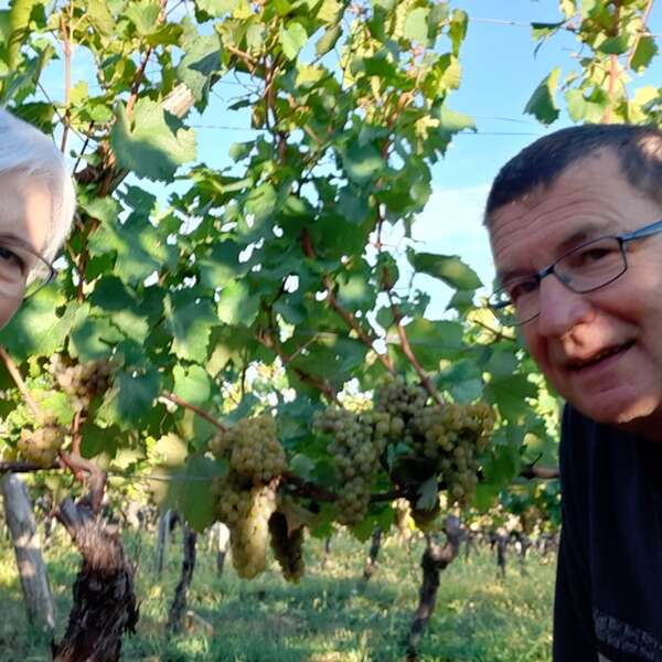 Domaine la Croix du Battut