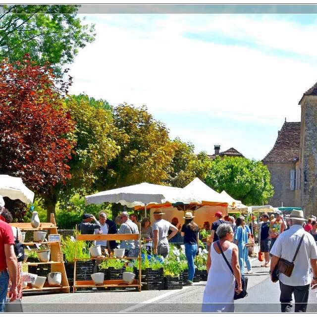 Fête des plantes rares et de collections