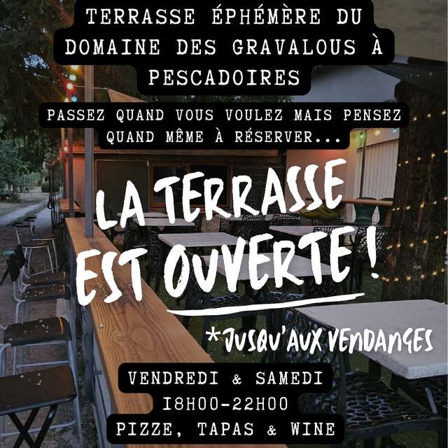 Pinard & grignotte au domaine des Gravalous