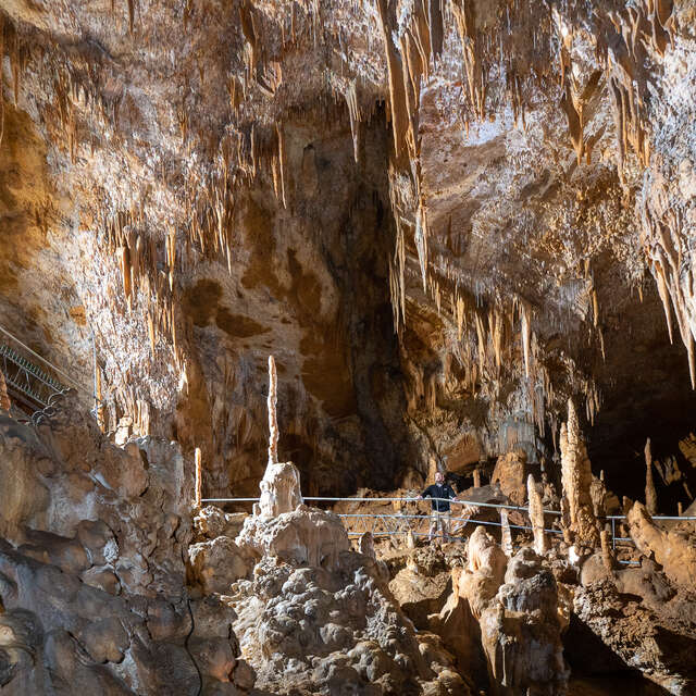 Grotte Préhistorique de Foissac