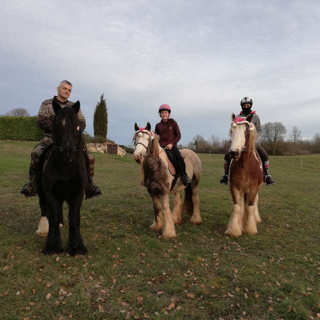 Ferme équestre Domaine de Petit Peyre