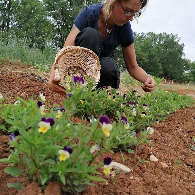 Les jardins du Mas de Greil