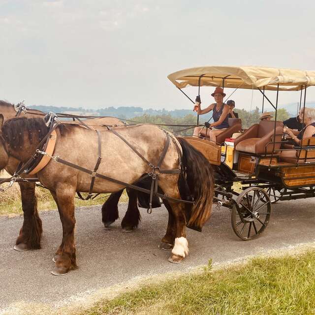 Equi Boit l'Apéro