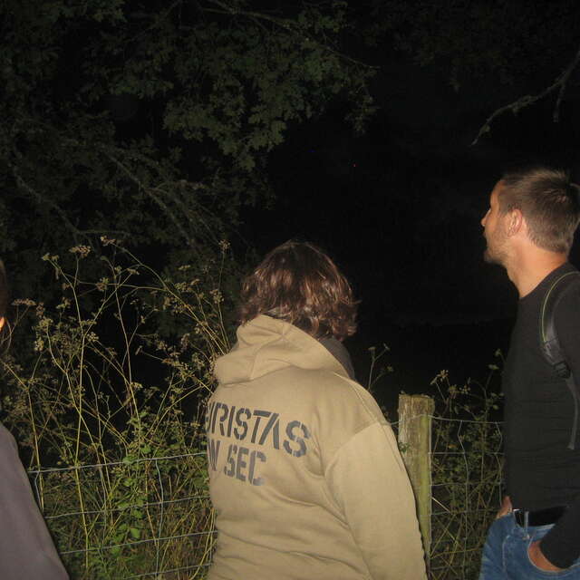 Nuit de la chauve-souris