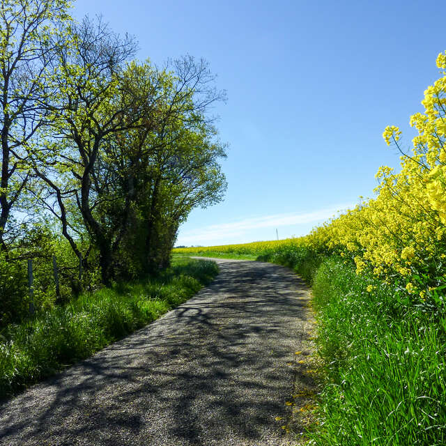 Sur la Route des Moulins