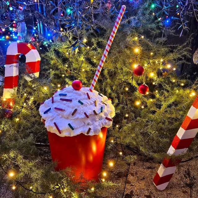 Les Noël de Rem's à Saint-Projet