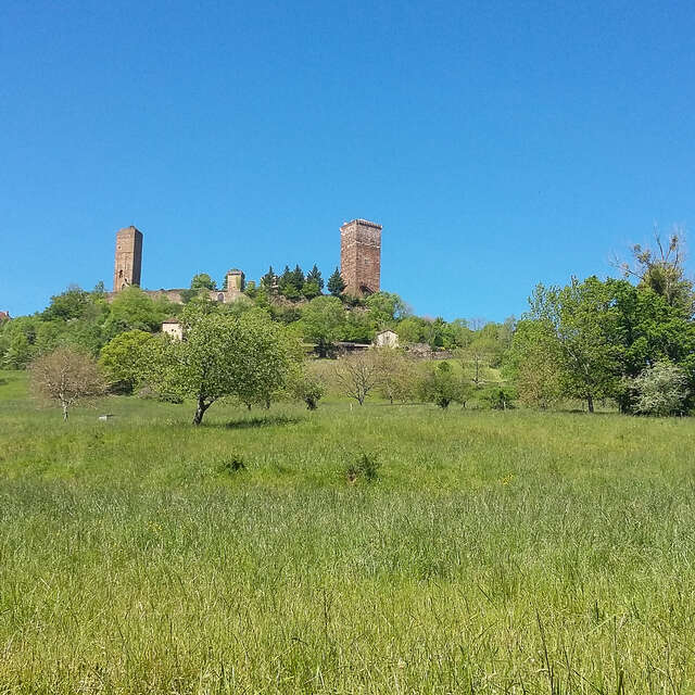 Sous les Soleils de Lurçat