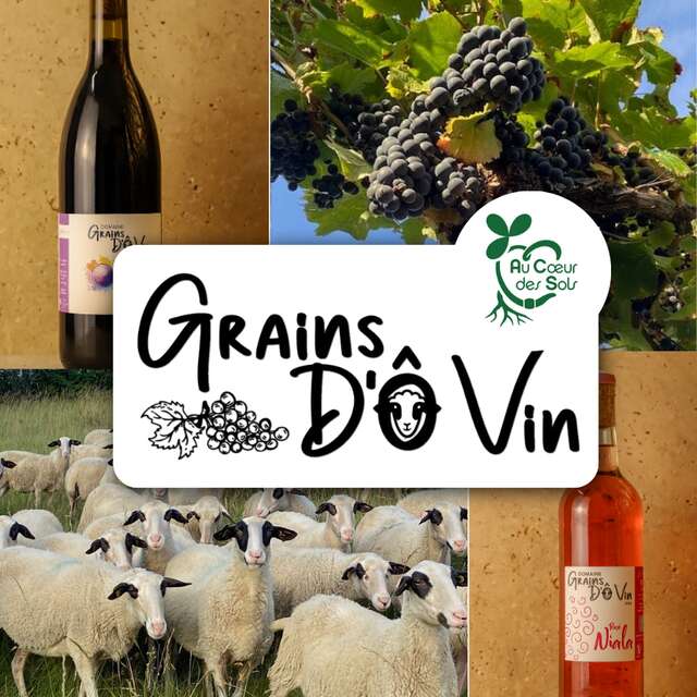 Grains d'O Vin