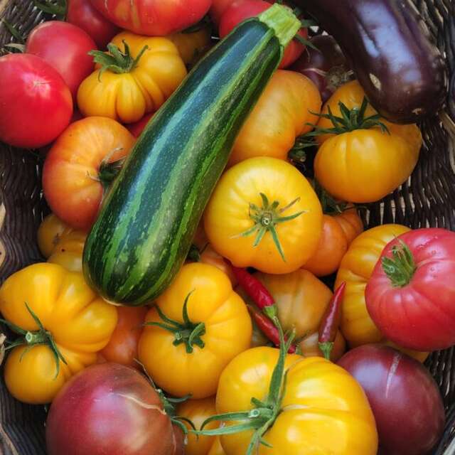 Printemps à la ferme - Le Lopin de Serre