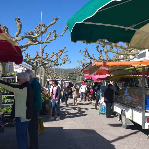 Marché à Luzech