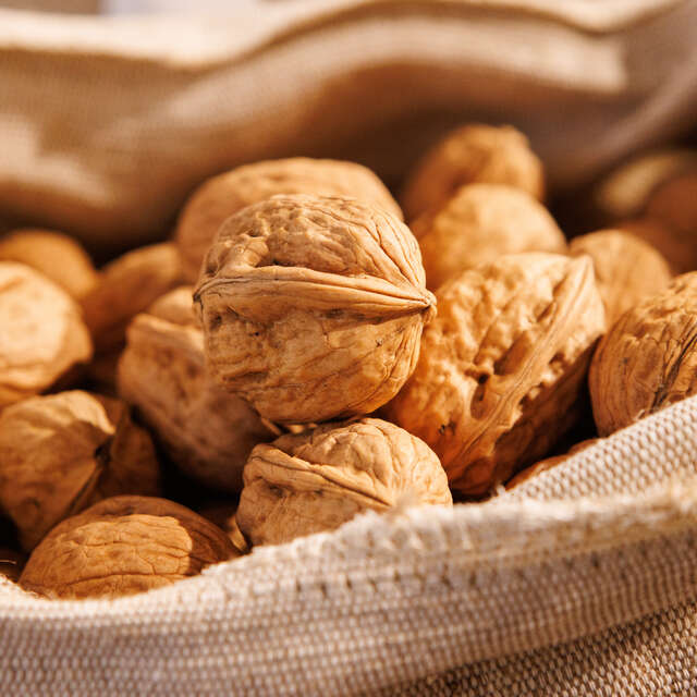 Moulin à Huile de Noix