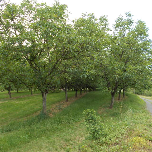 Autour du vignoble
