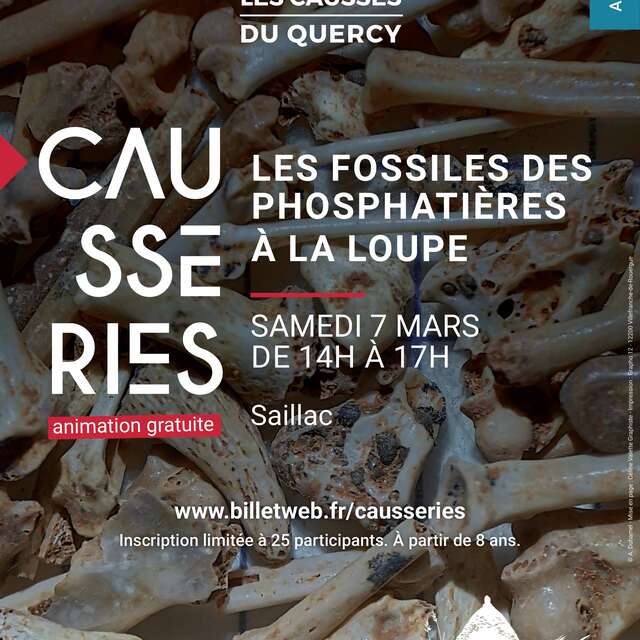 Les fossiles des phosphatières à la loupe Atelier de découverte