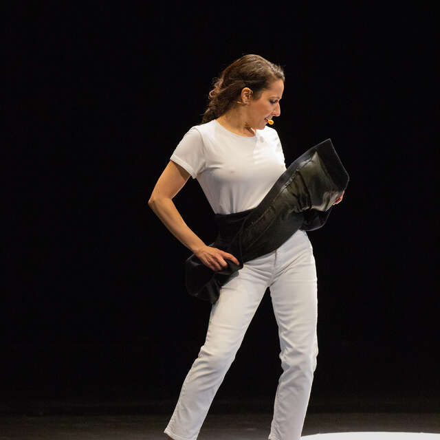 Théâtre de l'Usine - Parler Flamenco