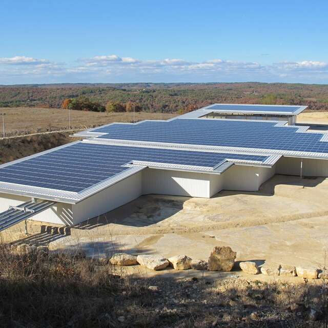 La Plage aux Ptérosaures