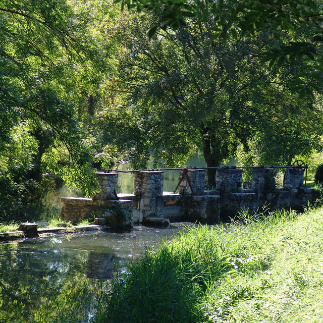 Plan d'eau de Pêche de St Germain du Bel Air