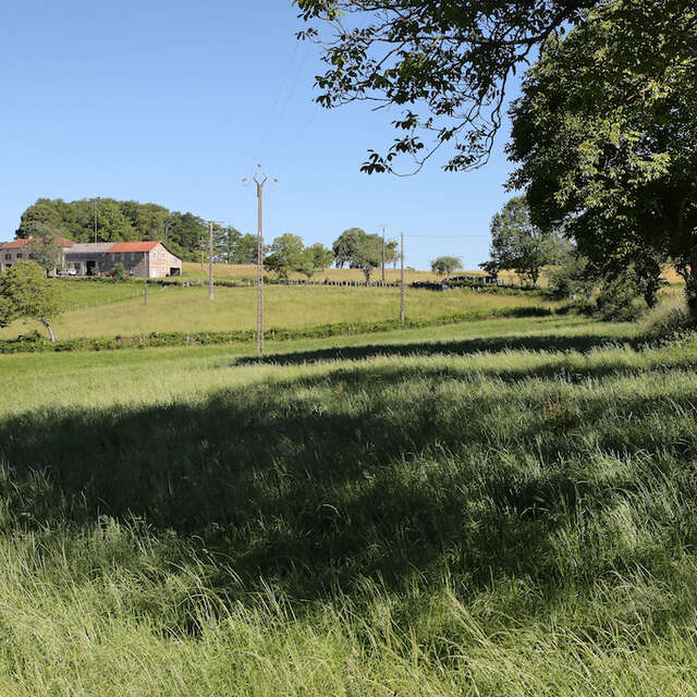 Journée du patrimoine : visite guidée à Sabadel-Latronquière, Châtaigneraie et sécadou