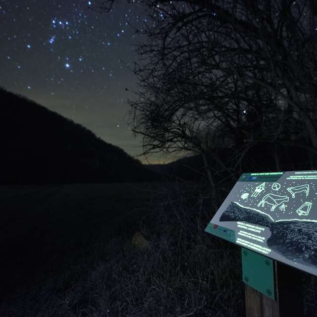 Marche nocturne