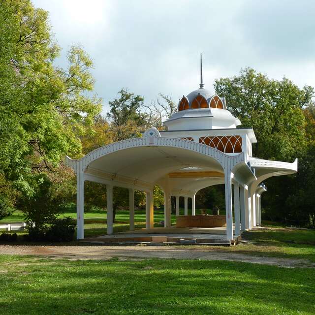 Le Bois des Jonquilles