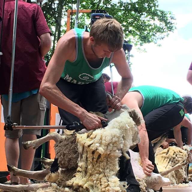 Fête des tondailles de Martel