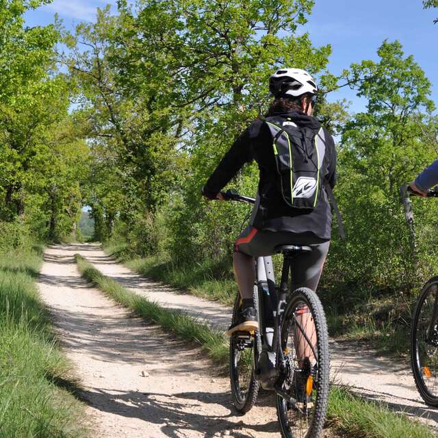 Vélos Verts du Lot