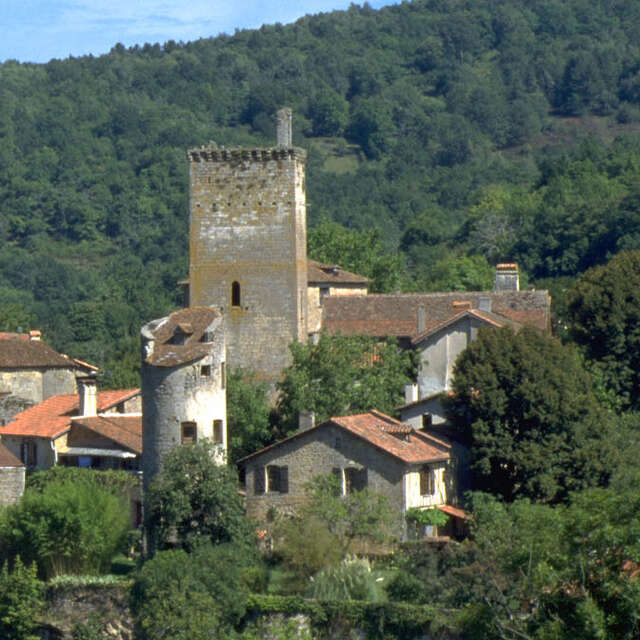 Vestiges du Fort Médiéval