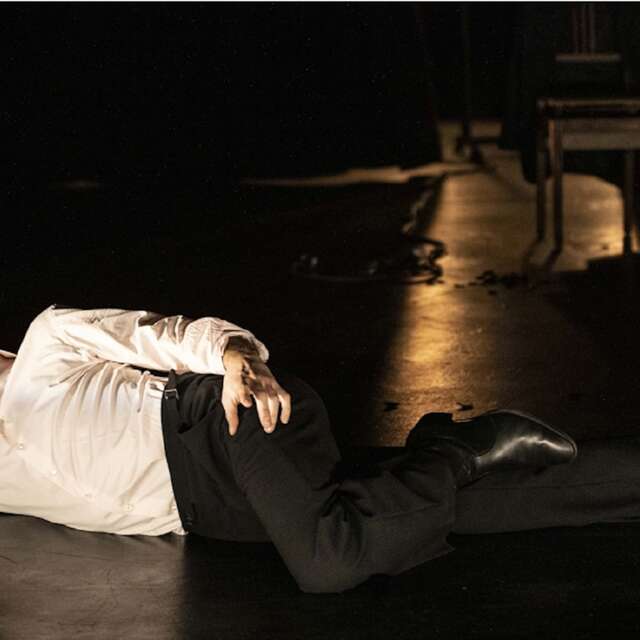 Spectacle : Vincent Dedienne (Complet)