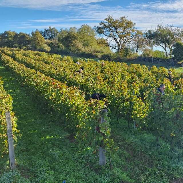 SCIC La Vinadie