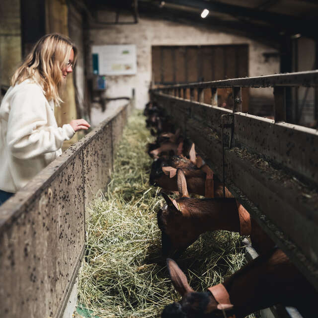 Dor'Lot Emerveille : Visite à la Ferme La Borie d'Imbert