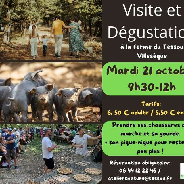 Visite et dégustation à la ferme du Tessou