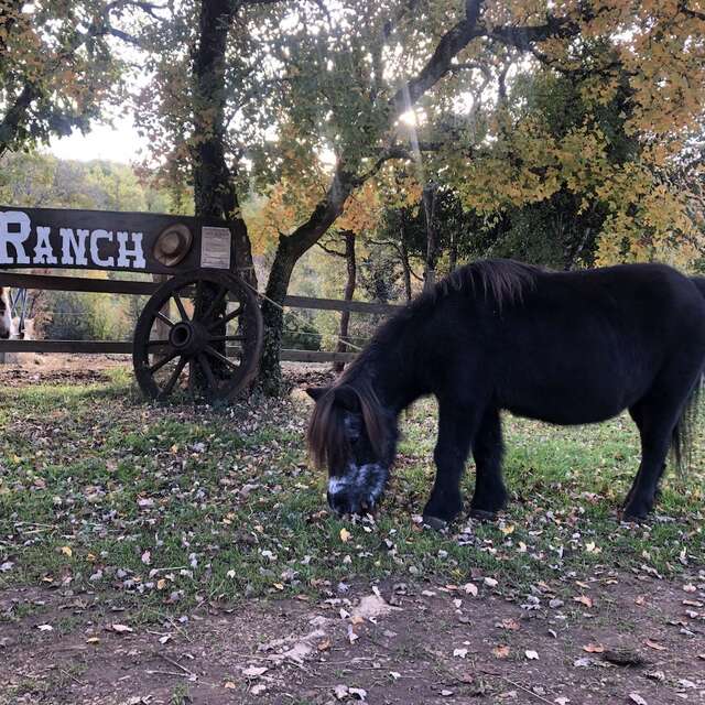 Balades à Poney et goûter au coin du feu