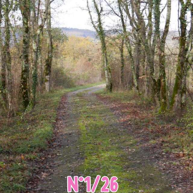 Randonnée pédestre Randoval