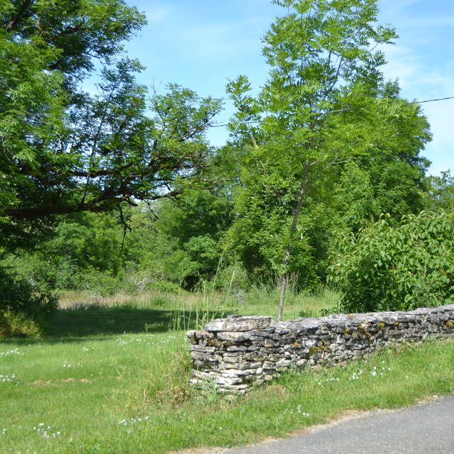 Les Vignes Hautes