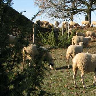 Ferme de Tartayrou