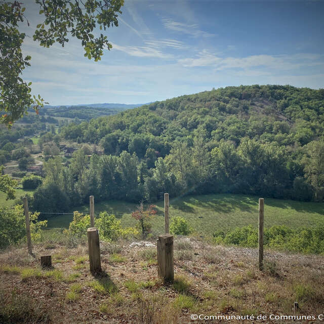 Causse Toujours