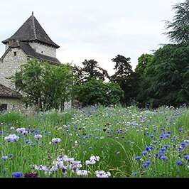 Château Vent d'Autan