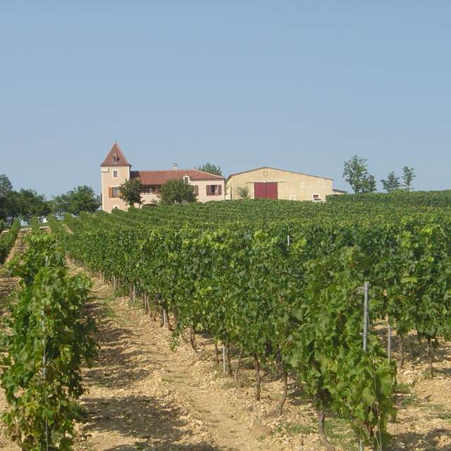 Clos de Pougette