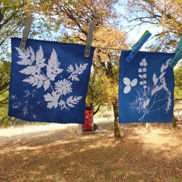 Atelier cyanotype