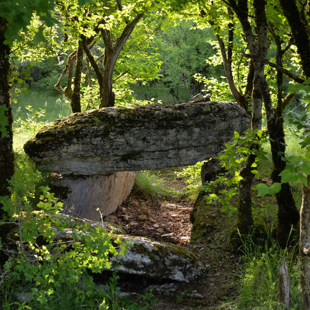 Les Dolmens de Limogne-en-Quercy