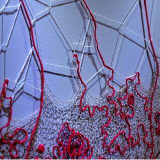 Rendez-vous des curieux - exposition