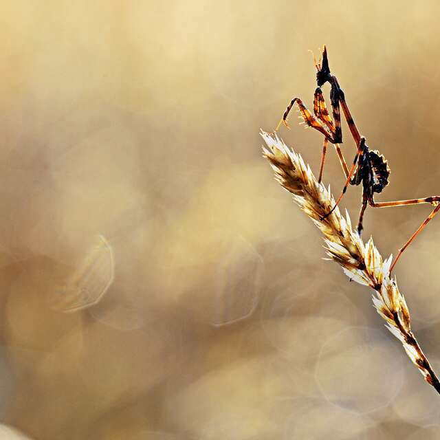 La nature en images - Expo photos