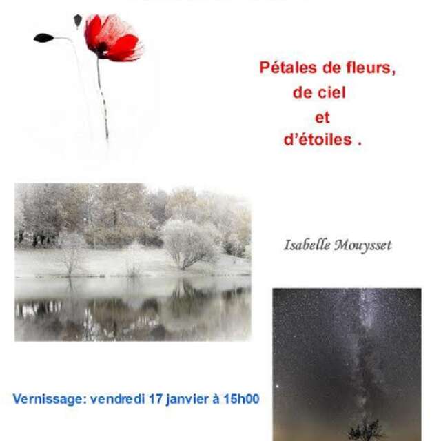 Exposition photos Isabelle Mouysset: "Pétales de fleurs, de ciel et d'étoiles"