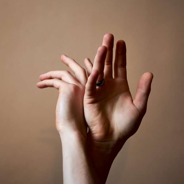 Spectacle  vocal et gestuel "A quatre mains"