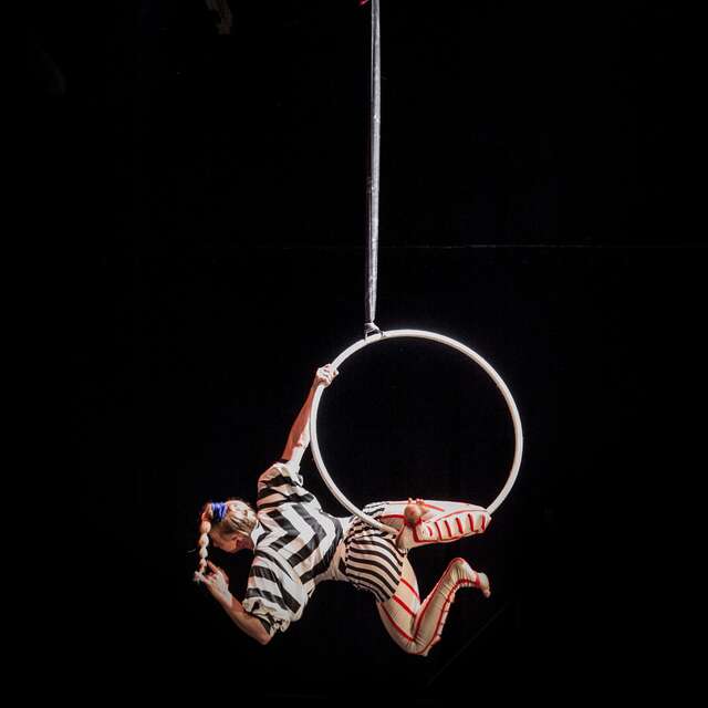 Stage de cirque aérien : cerceaux et trapèze pour ados et adultes