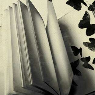 L'Envol des Mots...L'Envol des Maux