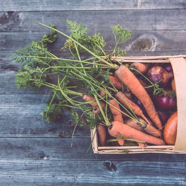 Marché estival des producteurs de Creysse